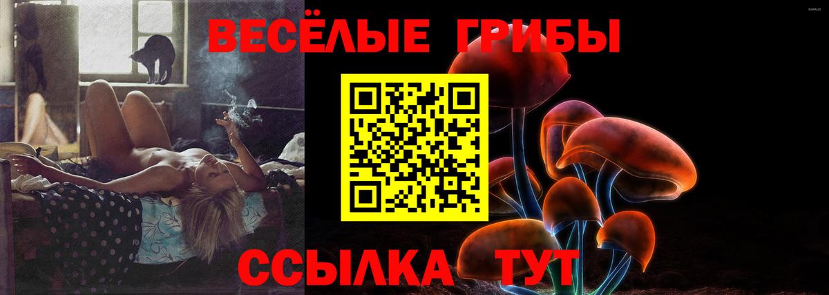 Лыткарино  Псилоцибиновые грибы Magic Shrooms  Вход с VPN 
